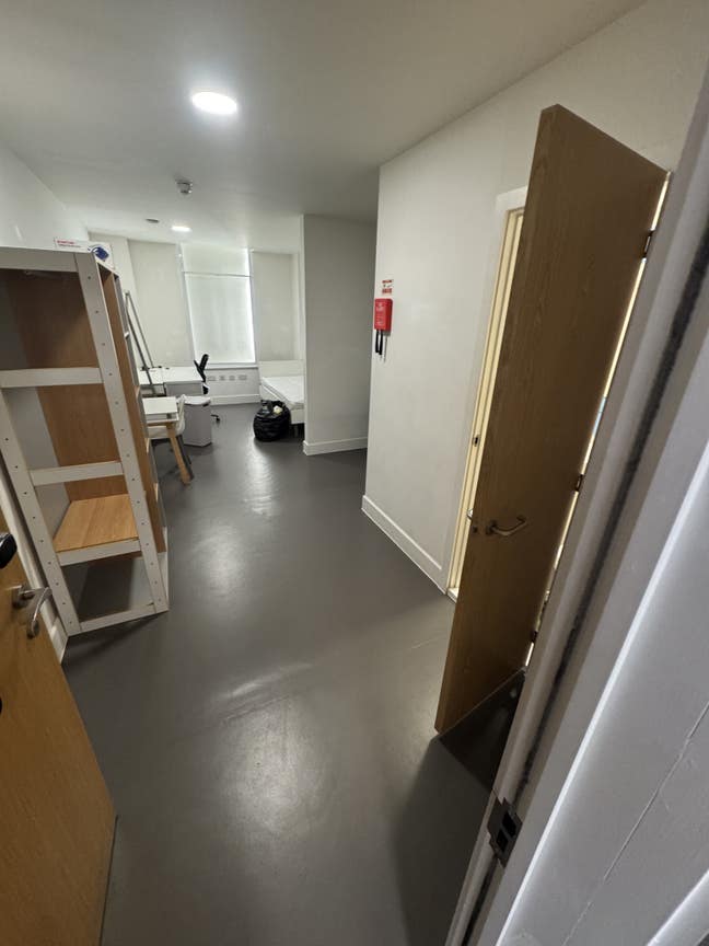 Modern Student Studio – Spacious,Available Now Main Photo