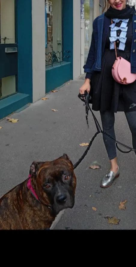 41 year old Female seeks a double room  Main Photo