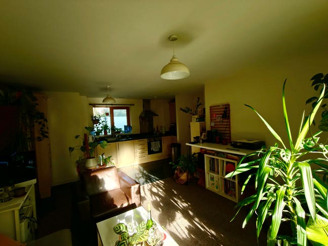 Double ensuite in a spacious flat  Main Photo