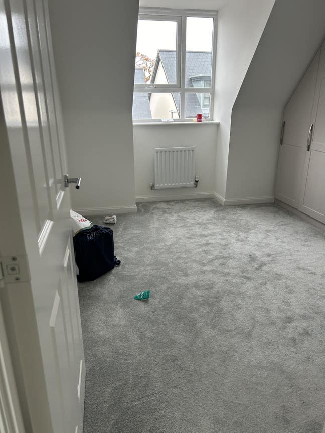 En-suite room available for females  Main Photo