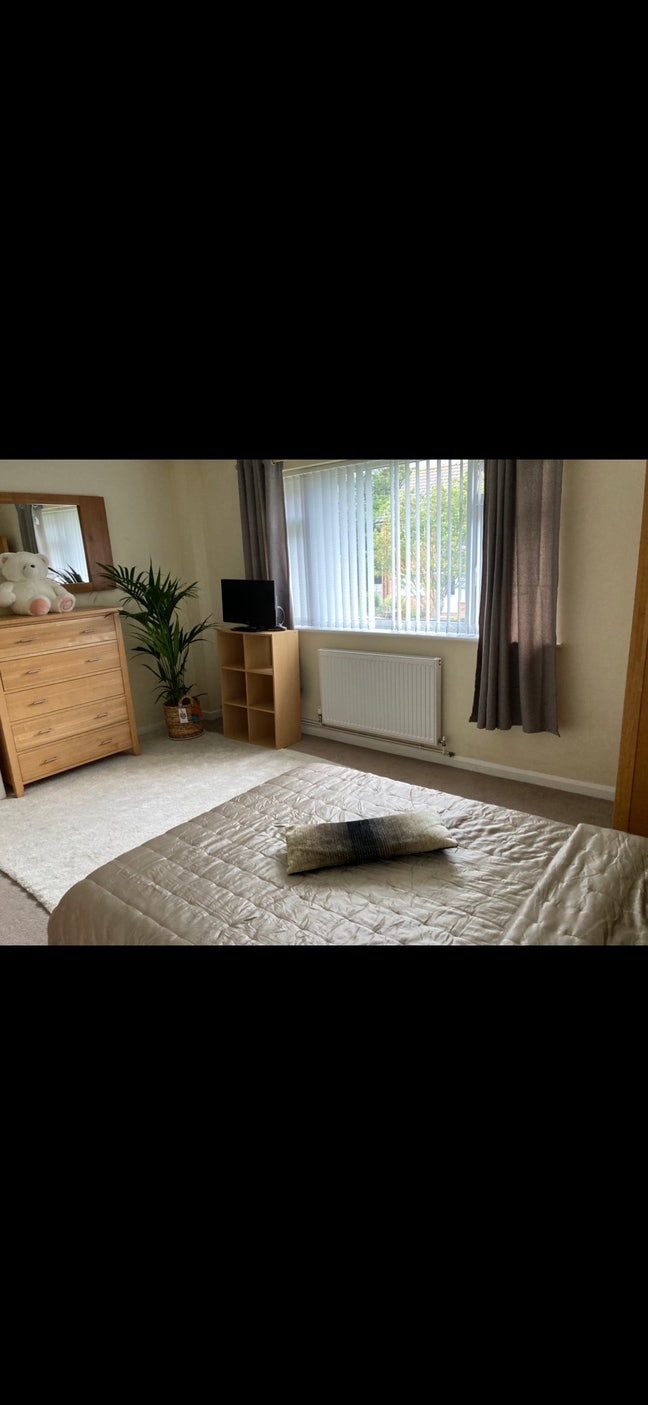 Newly renovated king size bedroom Main Photo