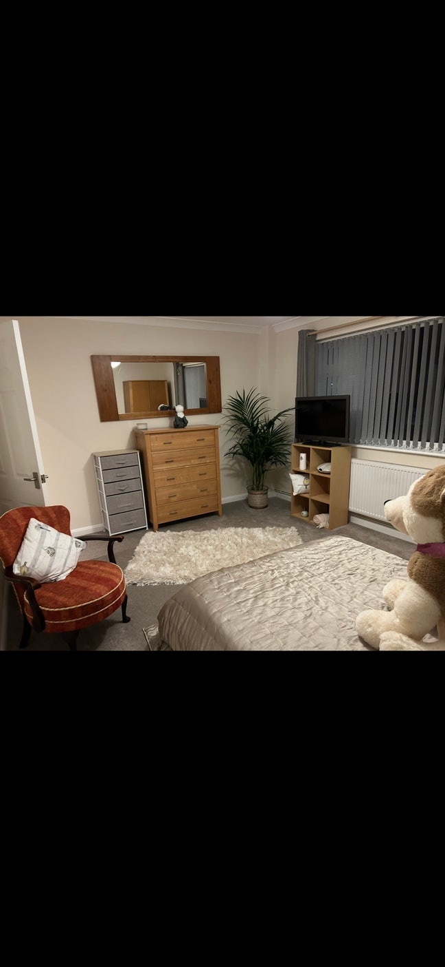 Newly renovated king size bedroom Main Photo