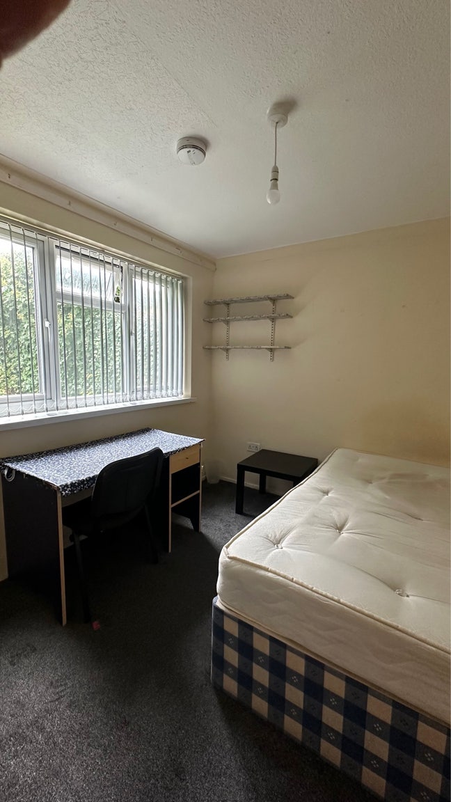 Rooms for students and professionals Main Photo