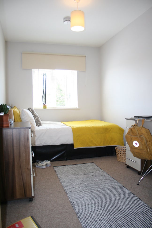 🪴 Room available in Beautiful & Friendly Home 🪴 Main Photo