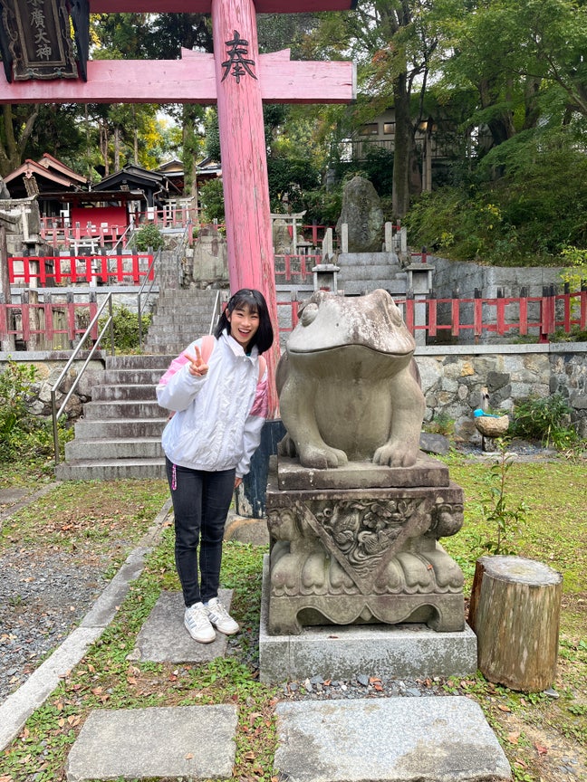 Looking for a friendly household to join Main Photo