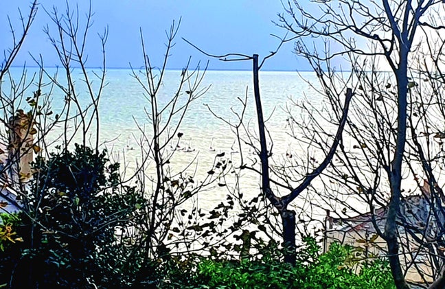 New work base sought Main Photo