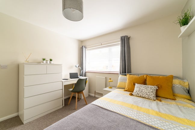 ☀️Light, airy room with new mattress 🛌  Main Photo