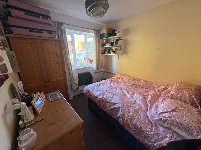 Room in a young house near Richmond Park Main Photo