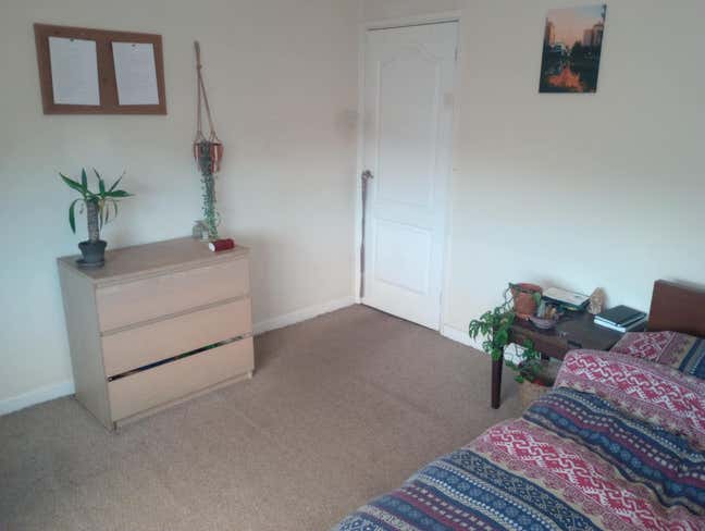 Double Room in Artistic Houseshare Main Photo