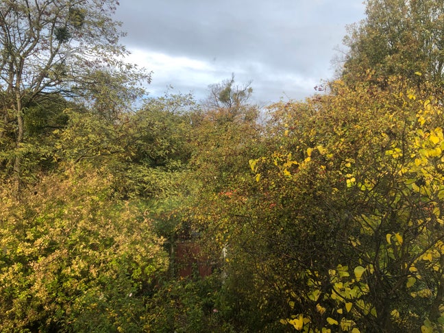 Furnished Master Bedroom for Rent – Chelmsford Main Photo