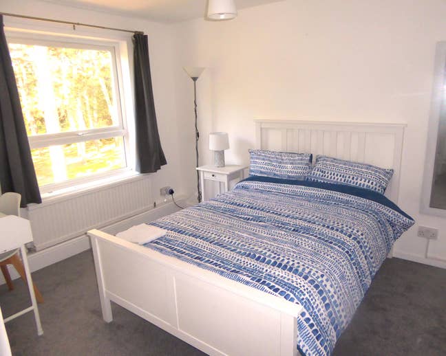 Double room in bright and spacious house share Main Photo