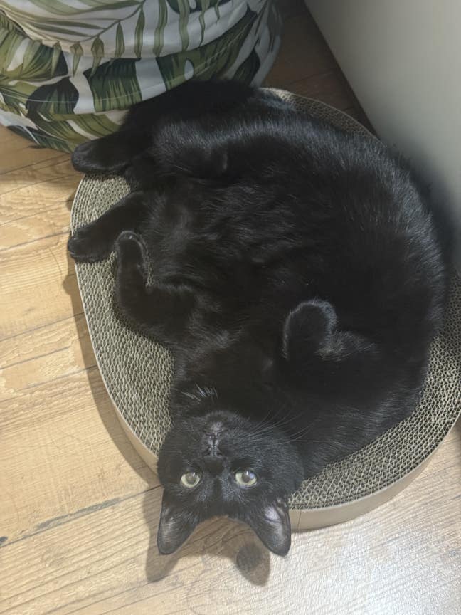 Looking for large room (ideally converted warehous Main Photo