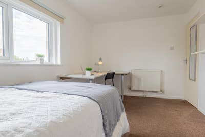 2 Large Doubles in Professional Filton houseshare Main Photo