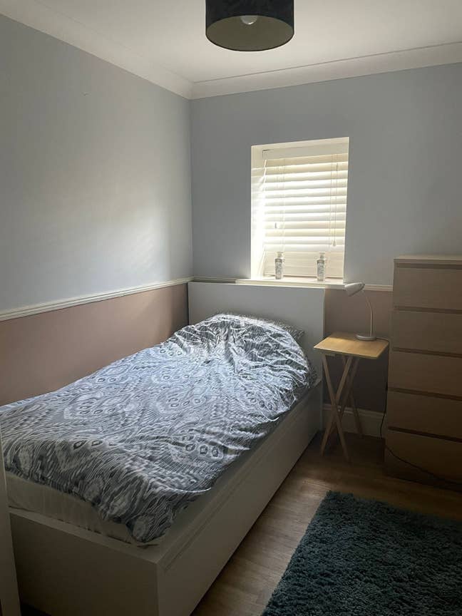 Comfortable single room in garden flat Main Photo