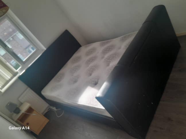 Rooms available in a clean social house,live with  Main Photo