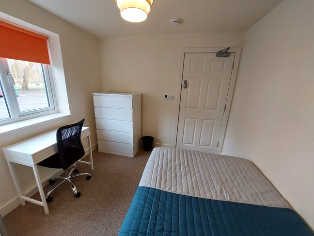 2 X Modern Doubles - Close to Research Park  Main Photo