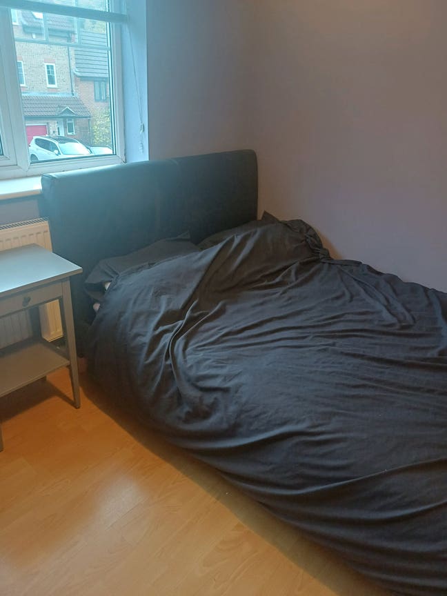 Large Double Room in owner occupied semi. Main Photo