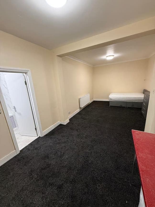 Large Newly Built Studio - IG3 - Bills Included Main Photo