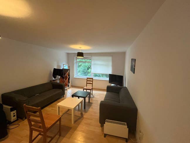 Room Available Main Photo