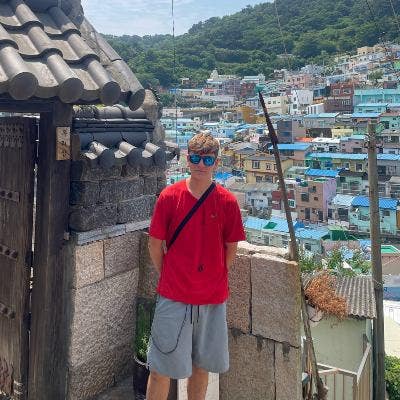 Professional Male looking to rent a room from Dec Main Photo