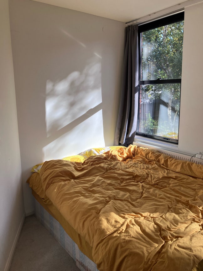 Small double room is right by Pimlico station Main Photo