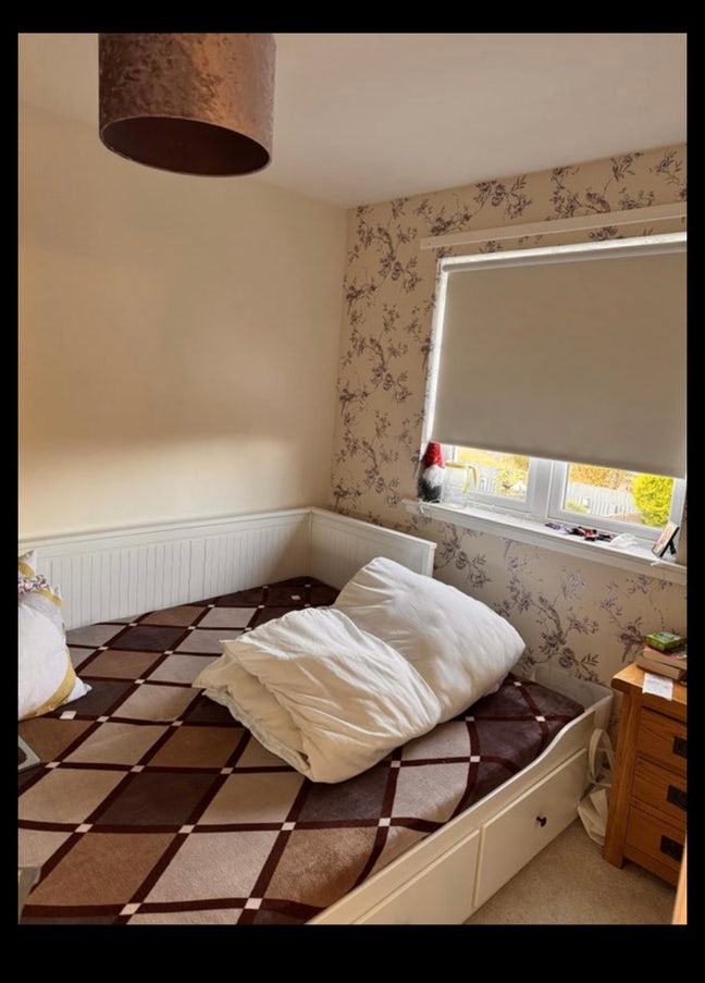 A room in perfect house available  Main Photo