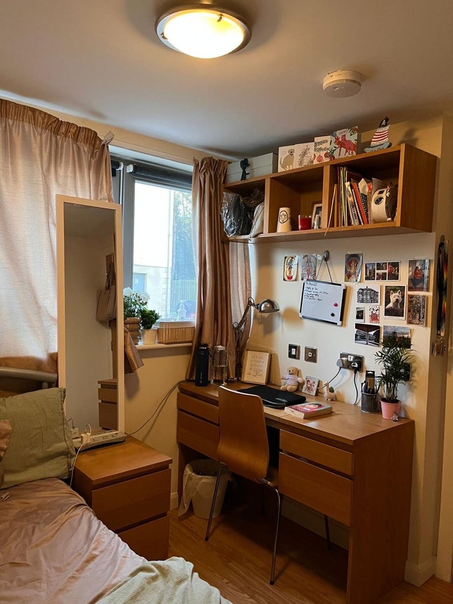 Cute room in the really nice household  Main Photo