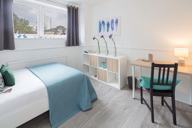 Delightful Double Room in a Smart Flat Main Photo