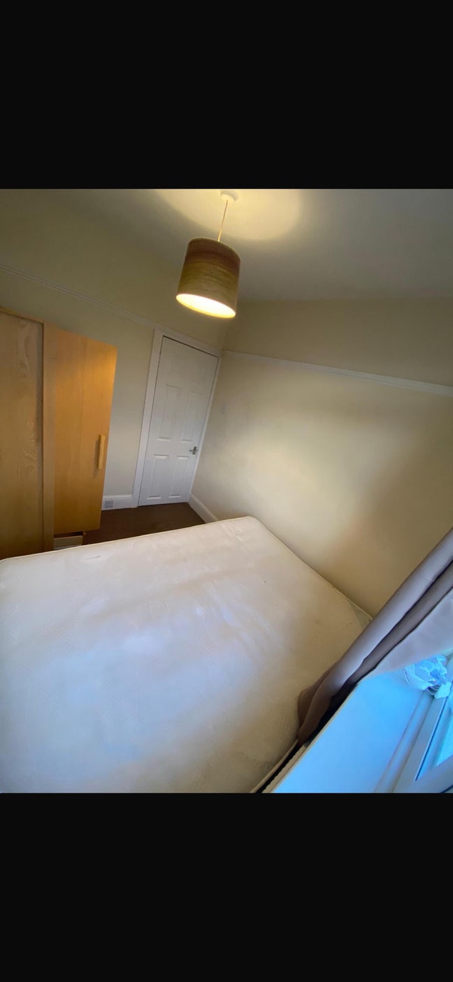 Room available for rent  Main Photo