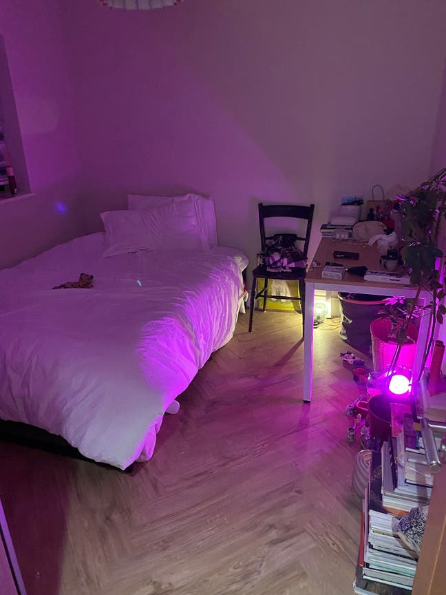 Small double room available in female in E7 Main Photo