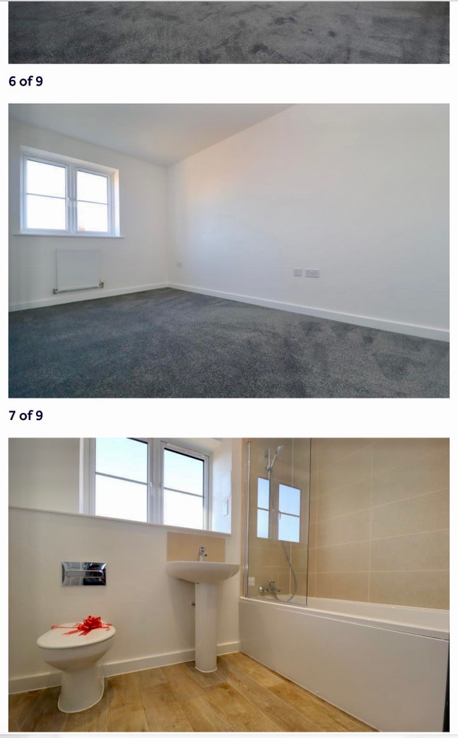 Large single room available  Main Photo