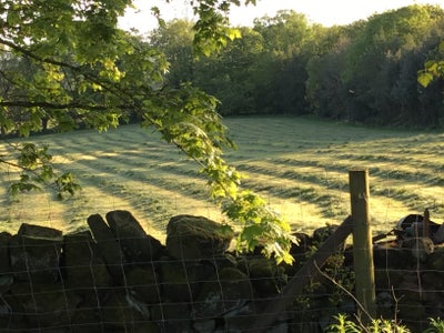 King Size Ensuite + parking - Historic Rural Home Main Photo