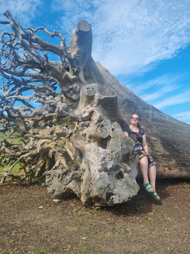 Looking for a room or buddy up! Main Photo