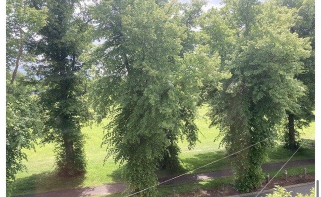 Double en-suite Main Photo