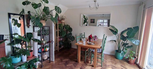 Single room near Blackhorse Road station Main Photo