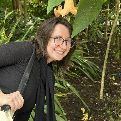 Looking for lodging/room  Main Photo