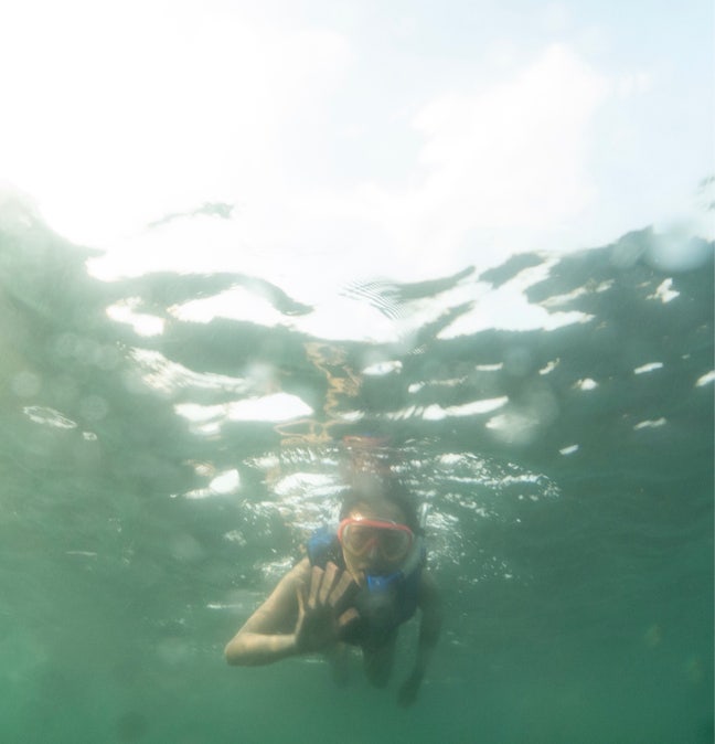 Marine mammal fanatic seeking a double room! Main Photo