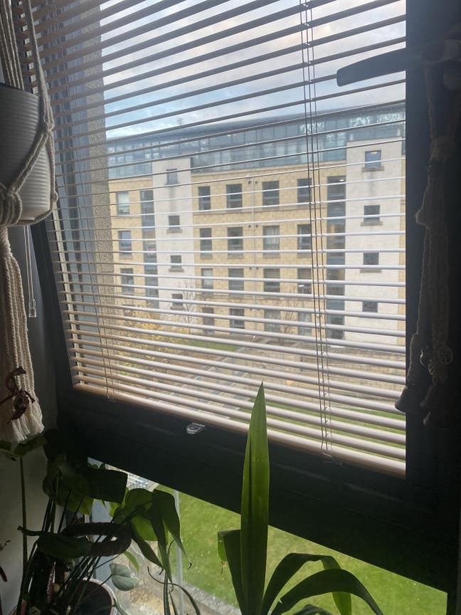 Large double room available-Female only Main Photo