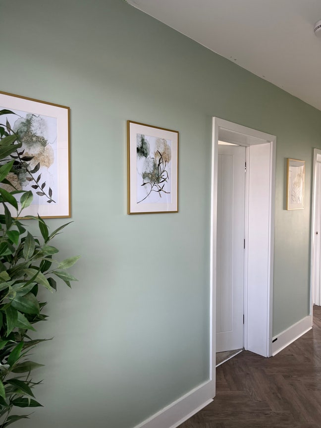 Gorgeous double carpeted room  Main Photo