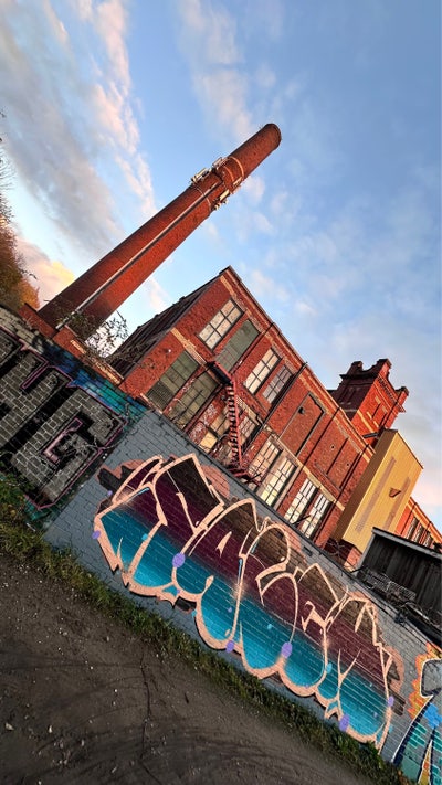 The Wizards Perineum— Music, Rest, and Magick Main Photo