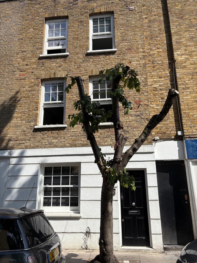 Double room in cosy 3-bed Angel townhouse  Main Photo