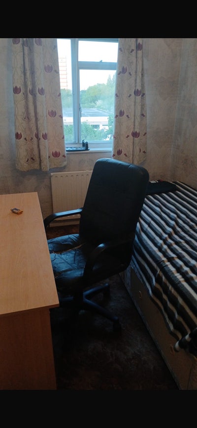 Medium room available  Main Photo