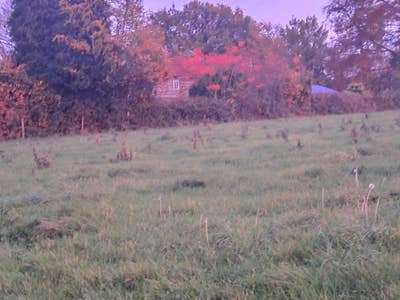 Room in the countryside near Ashford and Tenterden Main Photo