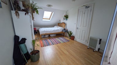 Large double in Tooting  Main Photo