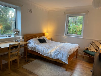 Huge beautiful double in Canonbury Main Photo