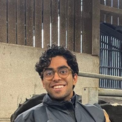 Professional Male seeks a double room Main Photo