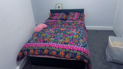 One room  Main Photo