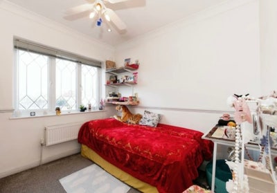 2 rooms available  Main Photo