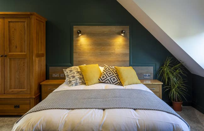 Brand new studios available January 26 Main Photo