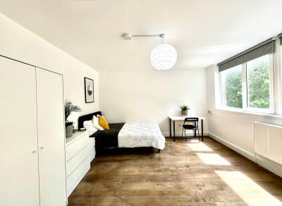 Bright Spacious Room near Primrose Hill Main Photo